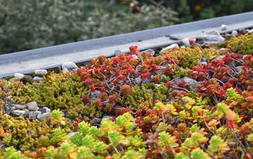 the cost of Carsington green roof installation