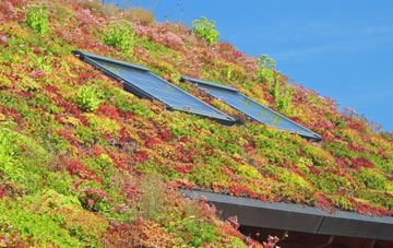 Carsington living roof systems