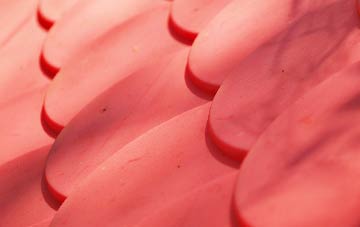 Carsington plastic roof costs