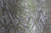 Carsington fibreglass roof work